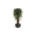 Árbol artificial Ficus Deluxe referencia 1802001