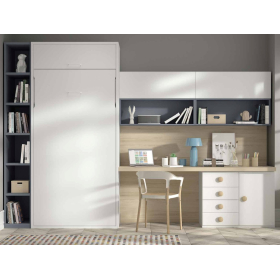 Dormitorio juvenil camas abatibles de Glicerio F-264