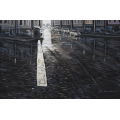 Cuadro Boulevard Dumas | Perspectiva 10